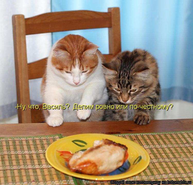 -Ну, что, Василь? Делим ровно или по-честному?... Котоматрица: -Ну, что, Василь? Делим ровно или по-честному?