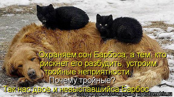 Охраняем сон Барбоса, а тем, кто рискнет его разбудить, устроим тройные неприятности. Почему тройные... Котоматрица: Охраняем сон Барбоса, а тем, кто рискнет его разбудить, устроим тройные неприятности. Почему тройные? Так нас двое и невыспавшийса Барбос