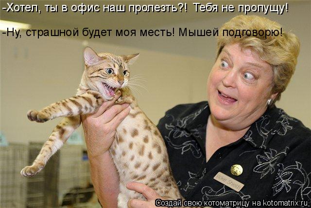 -Хотел, ты в офис наш пролезть?! Тебя не пропущу! -Ну, страшной будет моя месть! Мышей подговорю!... Котоматрица: -Хотел, ты в офис наш пролезть?! Тебя не пропущу! -Ну, страшной будет моя месть! Мышей подговорю!