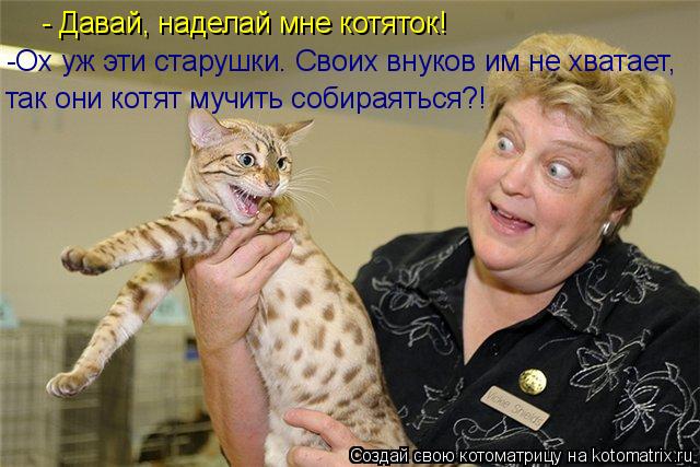 - Давай, наделай мне котяток! -Ох уж эти старушки. Своих внуков им не хватает, так они котят мучить с... Котоматрица: - Давай, наделай мне котяток! -Ох уж эти старушки. Своих внуков им не хватает, так они котят мучить собираяться?!
