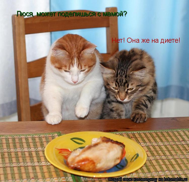 Люся, может поделишься с мамой? Нет! Она же на диете!... Котоматрица: Люся, может поделишься с мамой? Нет! Она же на диете!