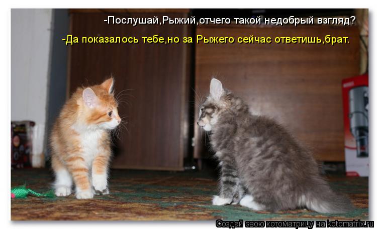 -Послушай,Рыжий,отчего такой недобрый взгляд? -Да показалось тебе,но за Рыжего сейчас ответишь,брат.... Котоматрица: -Послушай,Рыжий,отчего такой недобрый взгляд? -Да показалось тебе,но за Рыжего сейчас ответишь,брат.