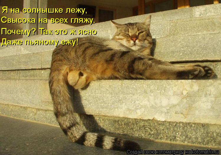 Я на солнышке лежу, Свысока на всех гляжу. Даже пьяному ежу! Почему? Так это ж ясно... Котоматрица: Я на солнышке лежу, Свысока на всех гляжу. Даже пьяному ежу! Почему? Так это ж ясно