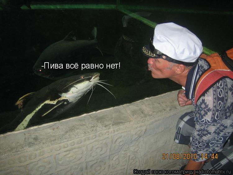 -Пива всё равно нет!... Котоматрица: -Пива всё равно нет!