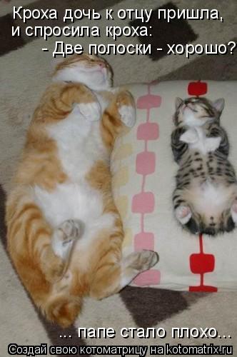 Кроха дочь к отцу пришла, и спросила кроха: - Две полоски - хорошо? ... папе стало плохо...... Котоматрица: Кроха дочь к отцу пришла, и спросила кроха: - Две полоски - хорошо? ... папе стало плохо...