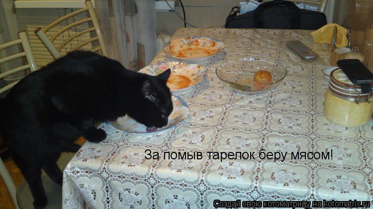 За помыв тарелок беру мясом!... Котоматрица: За помыв тарелок беру мясом!