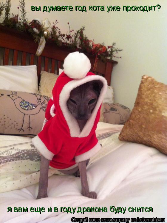 вы думаете год кота уже проходит? я вам еще и в году дракона буду снится... Котоматрица: вы думаете год кота уже проходит? я вам еще и в году дракона буду снится