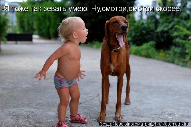 -Я тоже так зевать умею. Ну,смотри,смотри скорее.... Котоматрица: -Я тоже так зевать умею. Ну,смотри,смотри скорее.