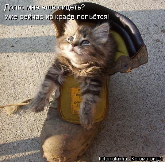 Долго мне ещё сидеть? Уже сейчас из краёв польётся!... Котоматрица: Долго мне ещё сидеть? Уже сейчас из краёв польётся!