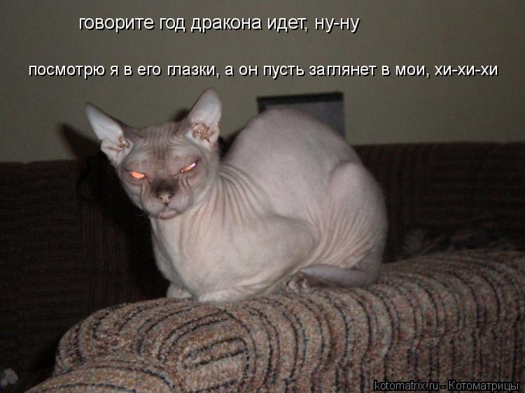 говорите год дракона идет, ну-ну посмотрю я в его глазки, а он пусть заглянет в мои, хи-хи-хи... Котоматрица: говорите год дракона идет, ну-ну посмотрю я в его глазки, а он пусть заглянет в мои, хи-хи-хи