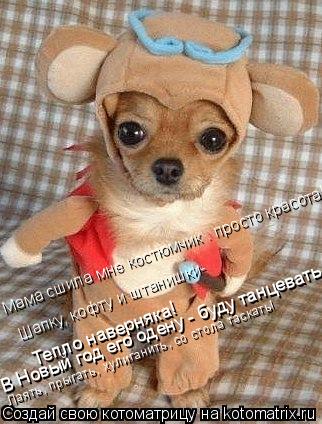 Котоматрица: Мама сшила мне костюмчик – просто красота! Шапку, кофту и штанишки- Тепло наверняка! В Новый год его одену - буду танцевать Лаять, прыгать, ху