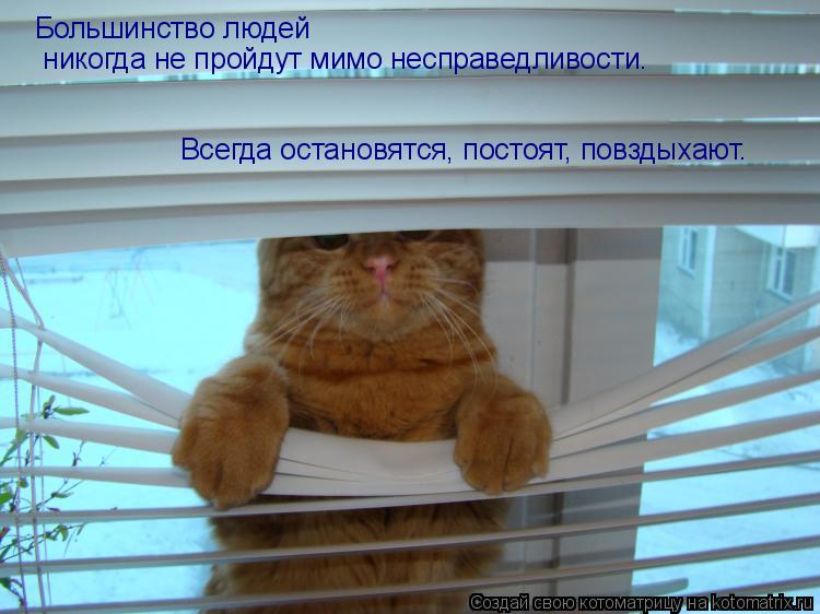 Котоматрица: Большинство людей   никогда не пройдут мимо несправедливости.   Всегда остановятся, постоят, повздыхают.