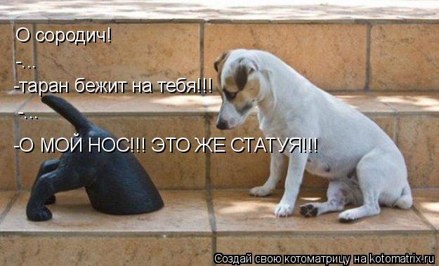 Котоматрица: О сородич! -... -таран бежит на тебя!!! -... -О МОЙ НОС!!! ЭТО ЖЕ СТАТУЯ!!!
