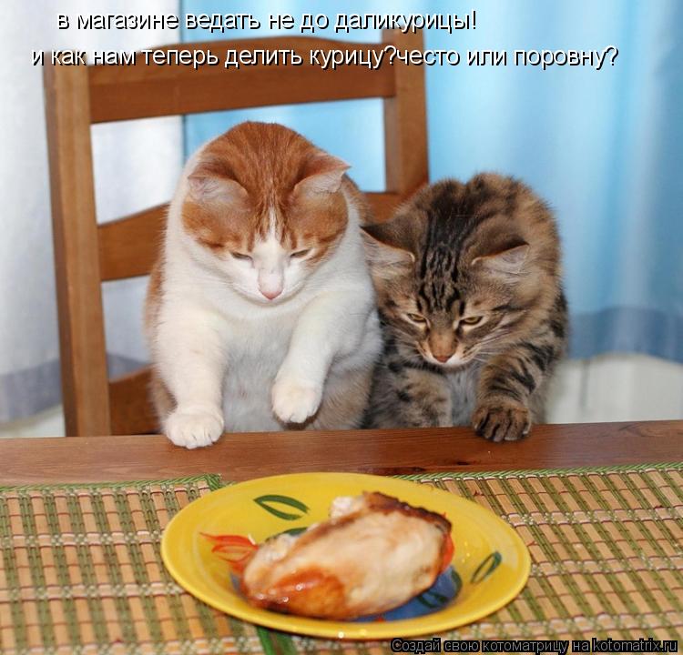 Котоматрица: в магазине ведать не до даликурицы! и как нам теперь делить курицу?често или поровну?