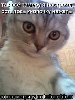 Котоматрица: так всё камеру я настроил, осталось кнопочку нажать!