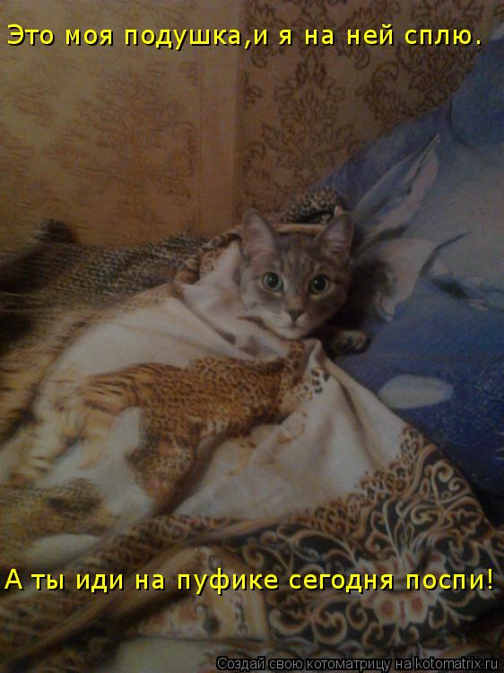 Котоматрица: А ты иди на пуфике сегодня поспи! Это моя подушка,и я на ней сплю.
