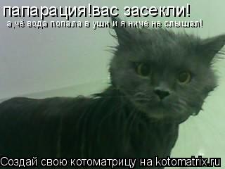 Котоматрица: папарация!вас засекли! а,чё вода попала в уши и я ничё не слышал!