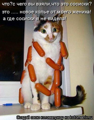 что?с чего вы взяли,что это сосиски? это ..... новое колье от моего жениха! а где сосиски я не видела... Котоматрица: что?с чего вы взяли,что это сосиски? это ..... новое колье от моего жениха! а где сосиски я не видела!