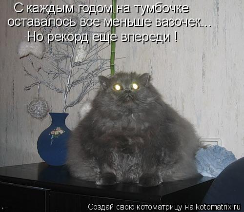 Котоматрица: С каждым годом на тумбочке оставалось все меньше вазочек... Но рекорд еще впереди !