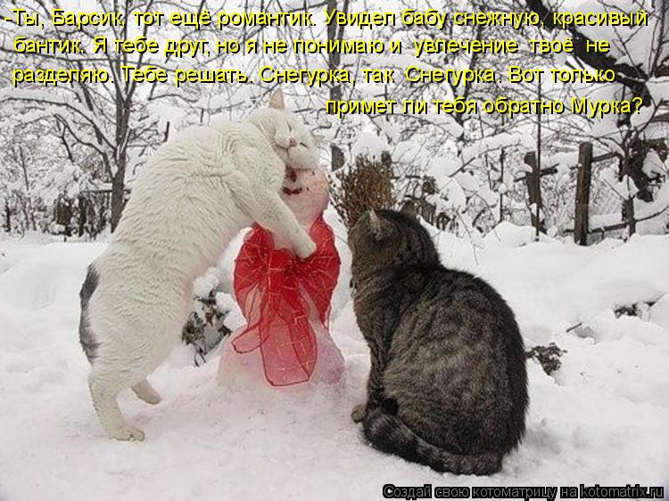 Котоматрица: -Ты, Барсик, тот ещё романтик. Увидел бабу снежную, красивый бантик. Я тебе друг, но я не понимаю и  увлечение  твоё  не  разделяю. Тебе решать. С