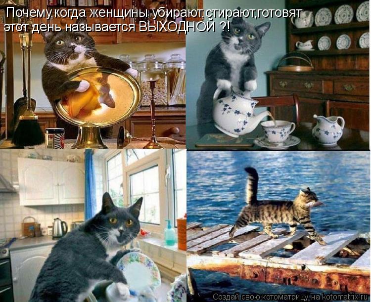 Котоматрица: Почему,когда женщины убирают,стирают,готовят этот день называется ВЫХОДНОЙ ?!