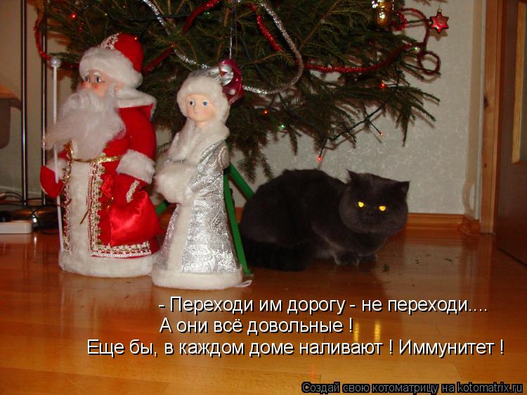 Котоматрица: - Переходи им дорогу - не переходи.... А они всё довольные ! Еще бы, в каждом доме наливают ! Иммунитет !