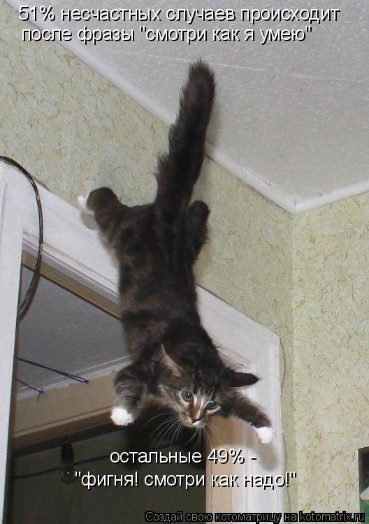 Котоматрица: 51% несчастных случаев происходит после фразы "смотри как я умею" остальные 49% -  "фигня! смотри как надо!"