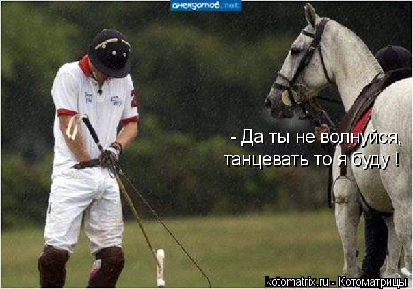 Котоматрица: - Да ты не волнуйся, танцевать то я буду !