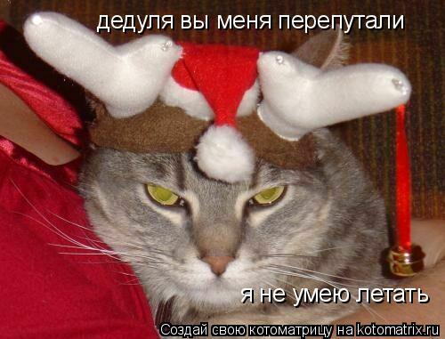 Котоматрица: дедуля вы меня перепутали я не умею летать