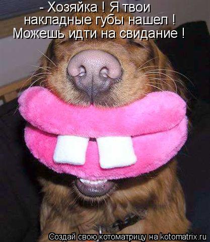 Котоматрица: - Хозяйка ! Я твои  накладные губы нашел ! Можешь идти на свидание !