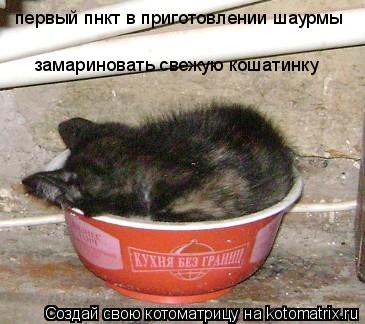 Котоматрица: первый пнкт в приготовлении шаурмы замариновать свежую кошатинку