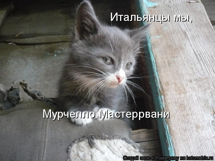 Итальянцы мы, Мурчелло Мастеррвани... Котоматрица: Итальянцы мы, Мурчелло Мастеррвани