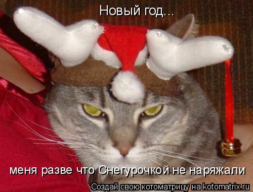 Котоматрица: Новый год... меня разве что Снегурочкой не наряжали