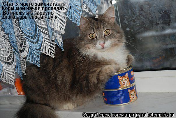 Котоматрица: Стал я часто замечать Корм мой начал пропадать!!! Вот лежу я в карауле Злого вора снова жду я!