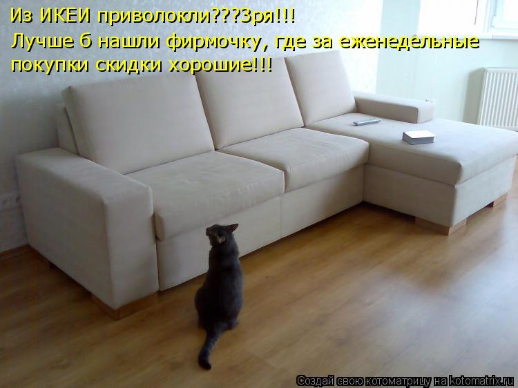 Котоматрица: Из ИКЕИ приволокли???Зря!!! Лучше б нашли фирмочку, где за еженедельные покупки скидки хорошие!!!