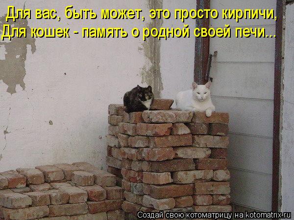 Котоматрица: Для вас, быть может, это просто кирпичи, Для кошек - память о родной своей печи...
