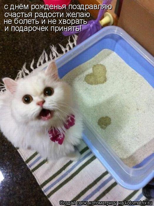 Котоматрица: с днём рожденья поздравляю счастья радости желаю не болеть и не хворать и подарочек принять!