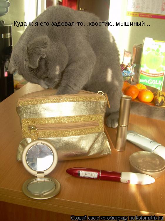 Котоматрица: -Куда ж я его задевал-то...хвостик...мышиный...