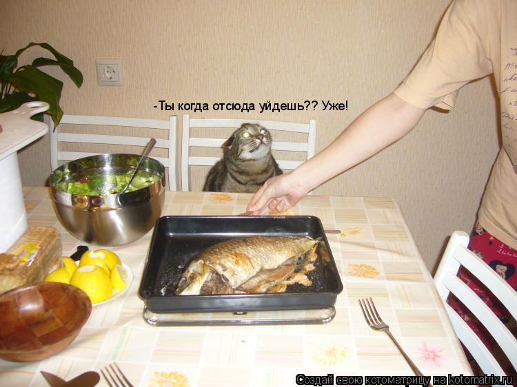 Котоматрица: -Ты когда отсюда уйдешь?? Уже!