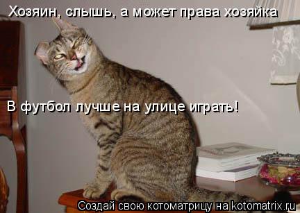 Котоматрица: Хозяин, слышь, а может права хозяйка В футбол лучше на улице играть!