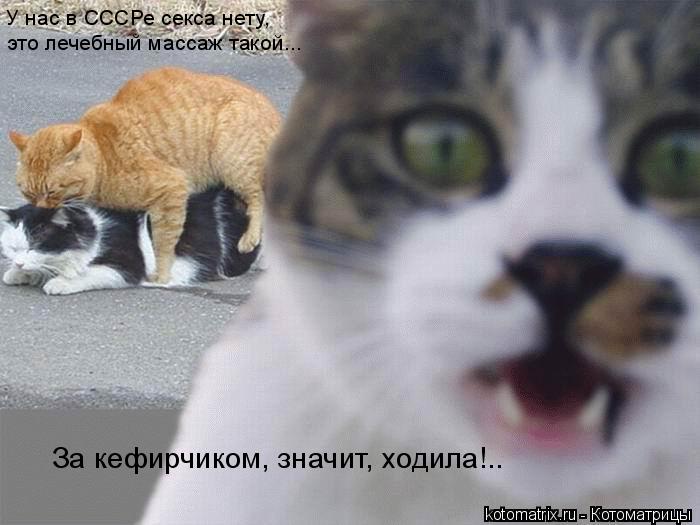 Котоматрица: У нас в СССРе секса нету, это лечебный массаж такой... За кефирчиком, значит, ходила!..