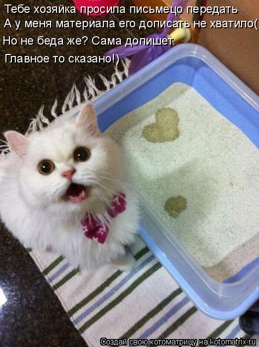 Котоматрица: Тебе хозяйка просила письмецо передать А у меня материала его дописать не хватило( Но не беда же? Сама допишет. Главное то сказано!)