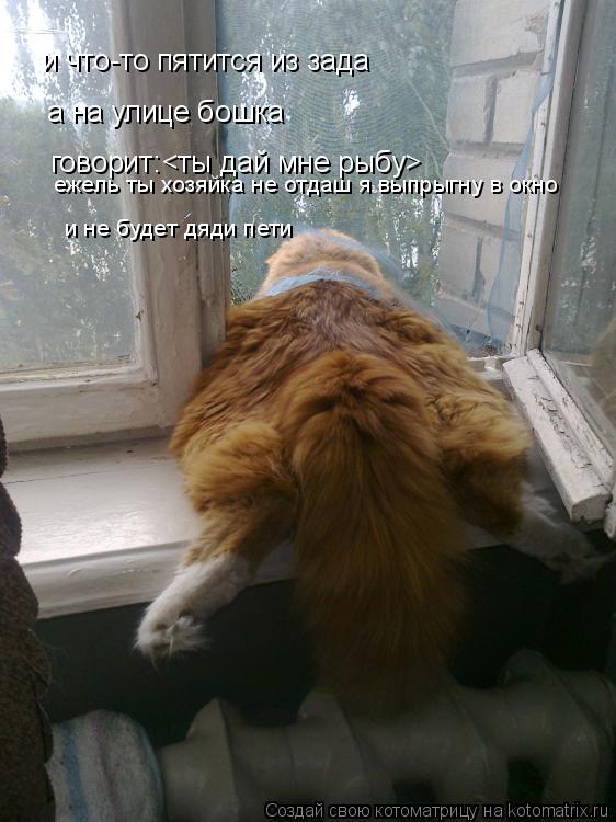 Котоматрица: и что-то пятится из зада а на улице бошка  говорит:<ты дай мне рыбу> ежель ты хозяйка не отдаш я выпрыгну в окно  и не будет дяди пети