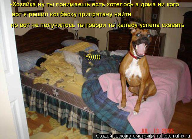 Котоматрица: -Хозяйка,ну ты понимаешь есть хотелось а дома ни кого вот я решил колбаску припрятану найти но вот не получилось ты говори ты каласу успела 