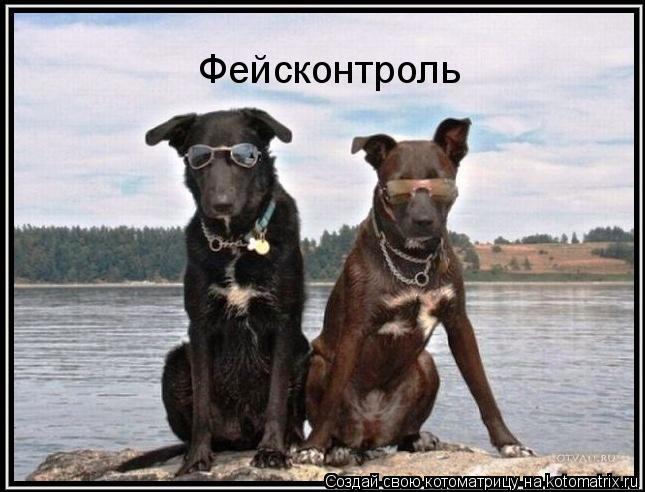 Котоматрица: Фейсконтроль