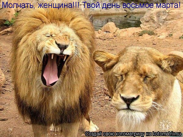 Молчать, женщина!!! Твой день восьмое марта!... Котоматрица: Молчать, женщина!!! Твой день восьмое марта!