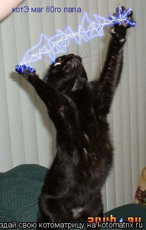 котЭ маг 80го лвла... Котоматрица: котЭ маг 80го лвла