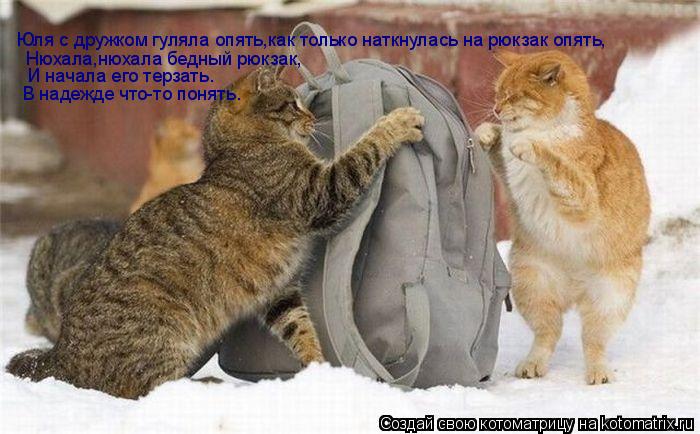 Юля с дружком гуляла опять,как только наткнулась на рюкзак опять, В надежде что-то понять. Нюхала,нюх... Котоматрица: Юля с дружком гуляла опять,как только наткнулась на рюкзак опять, В надежде что-то понять. Нюхала,нюхала бедный рюкзак, И начала его терзать.