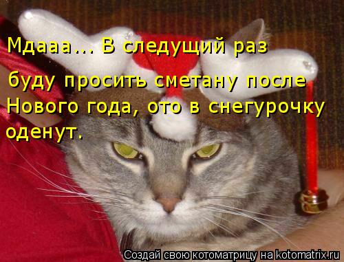 Мдааа... В следущий раз буду просить сметану после Нового года, ото в снегурочку оденут.... Котоматрица: Мдааа... В следущий раз буду просить сметану после Нового года, ото в снегурочку оденут.