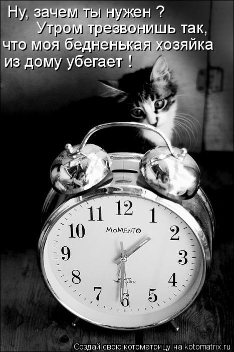 Котоматрица: Ну, зачем ты нужен ? Утром трезвонишь так, что моя бедненькая хозяйка из дому убегает !